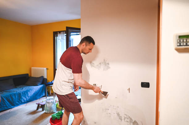 Best Professional Mold Removal  in Lennox, SD